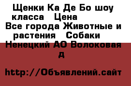 Щенки Ка Де Бо шоу класса › Цена ­ 60 000 - Все города Животные и растения » Собаки   . Ненецкий АО,Волоковая д.